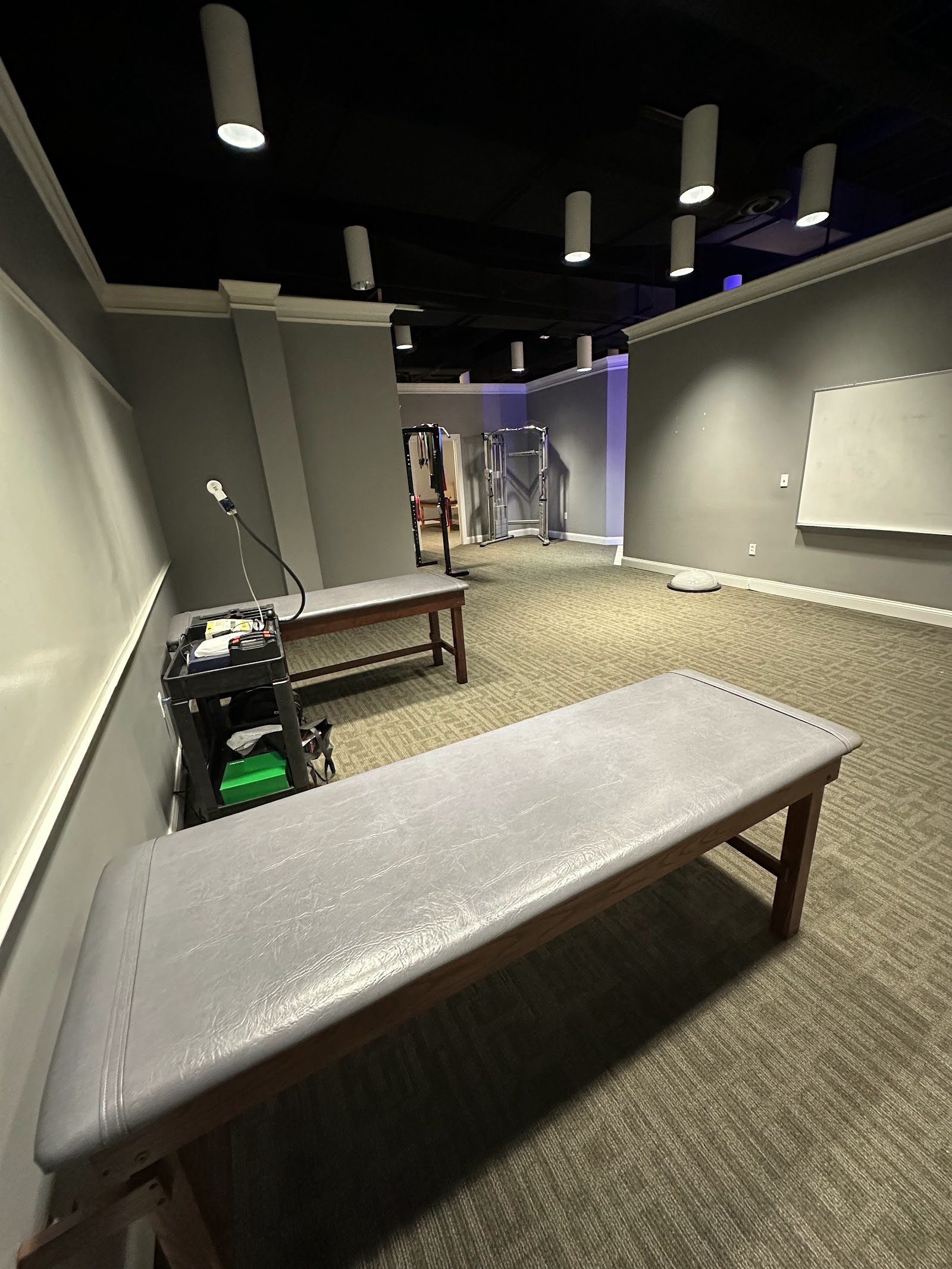 AMH Chiropractic Novi (Applied Modern Health) in Novi