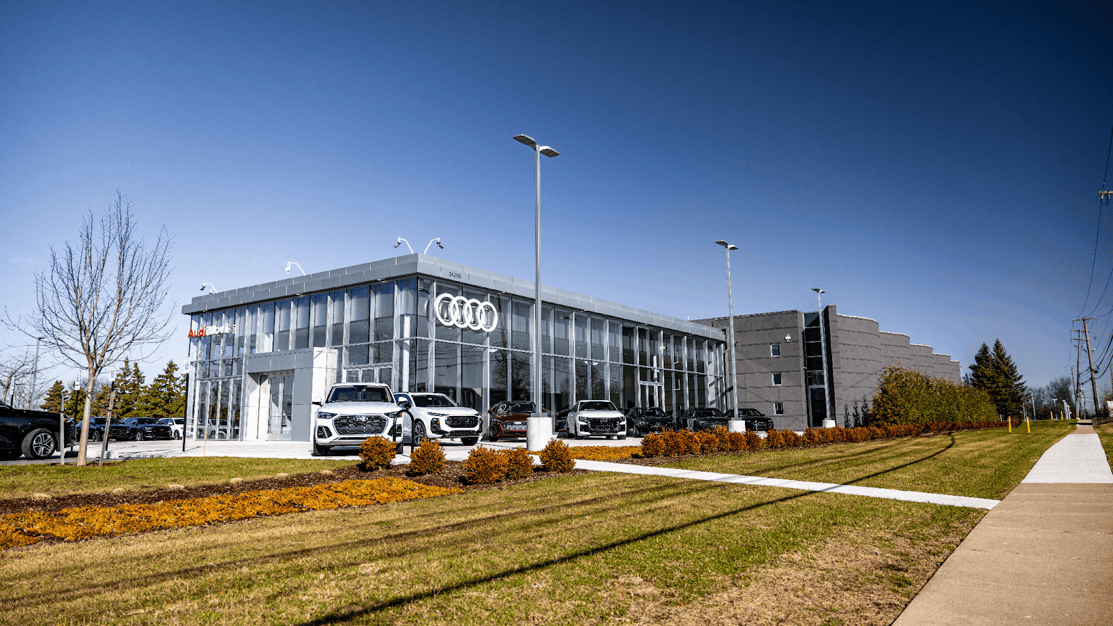 Audi Novi in Novi