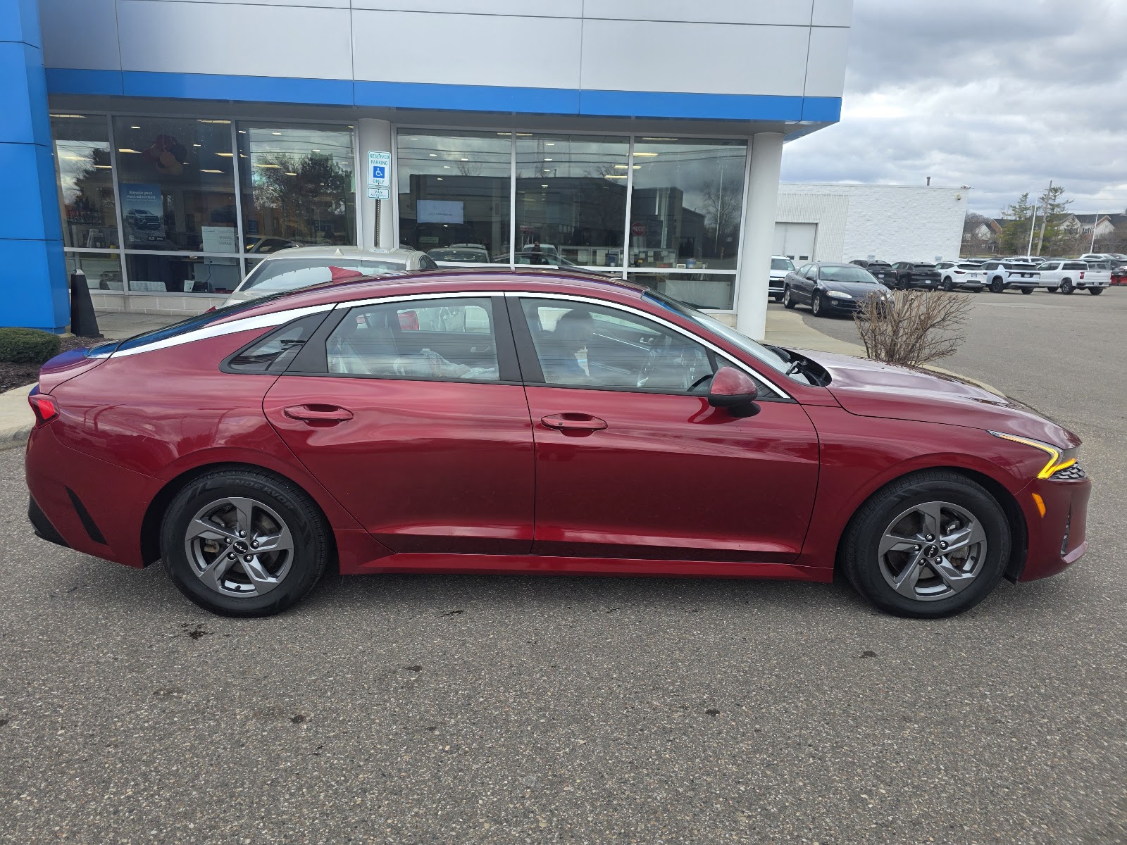 Feldman Automotive Group — photo