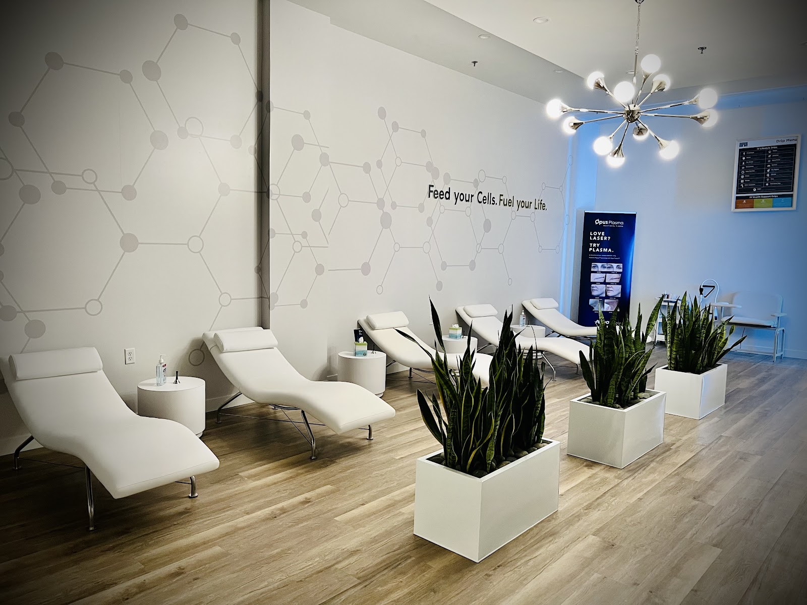 Novi Aesthetics in Novi