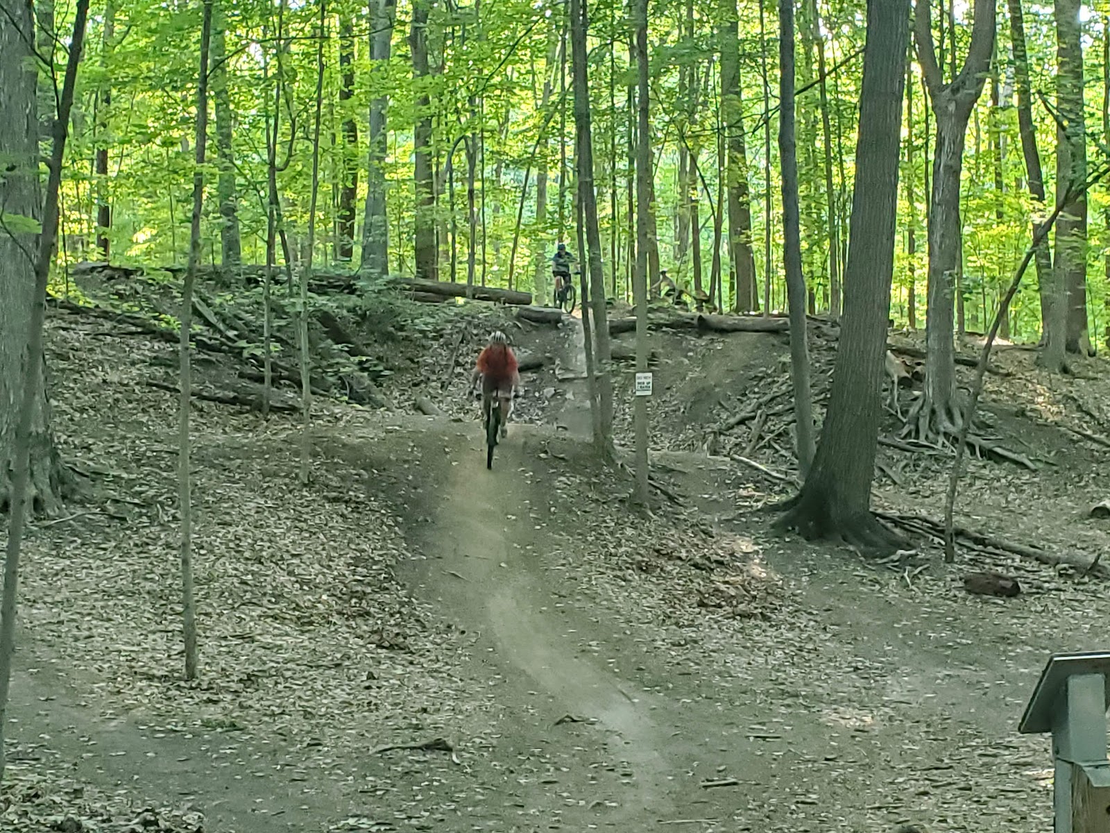 Novi Tree Farm in Novi