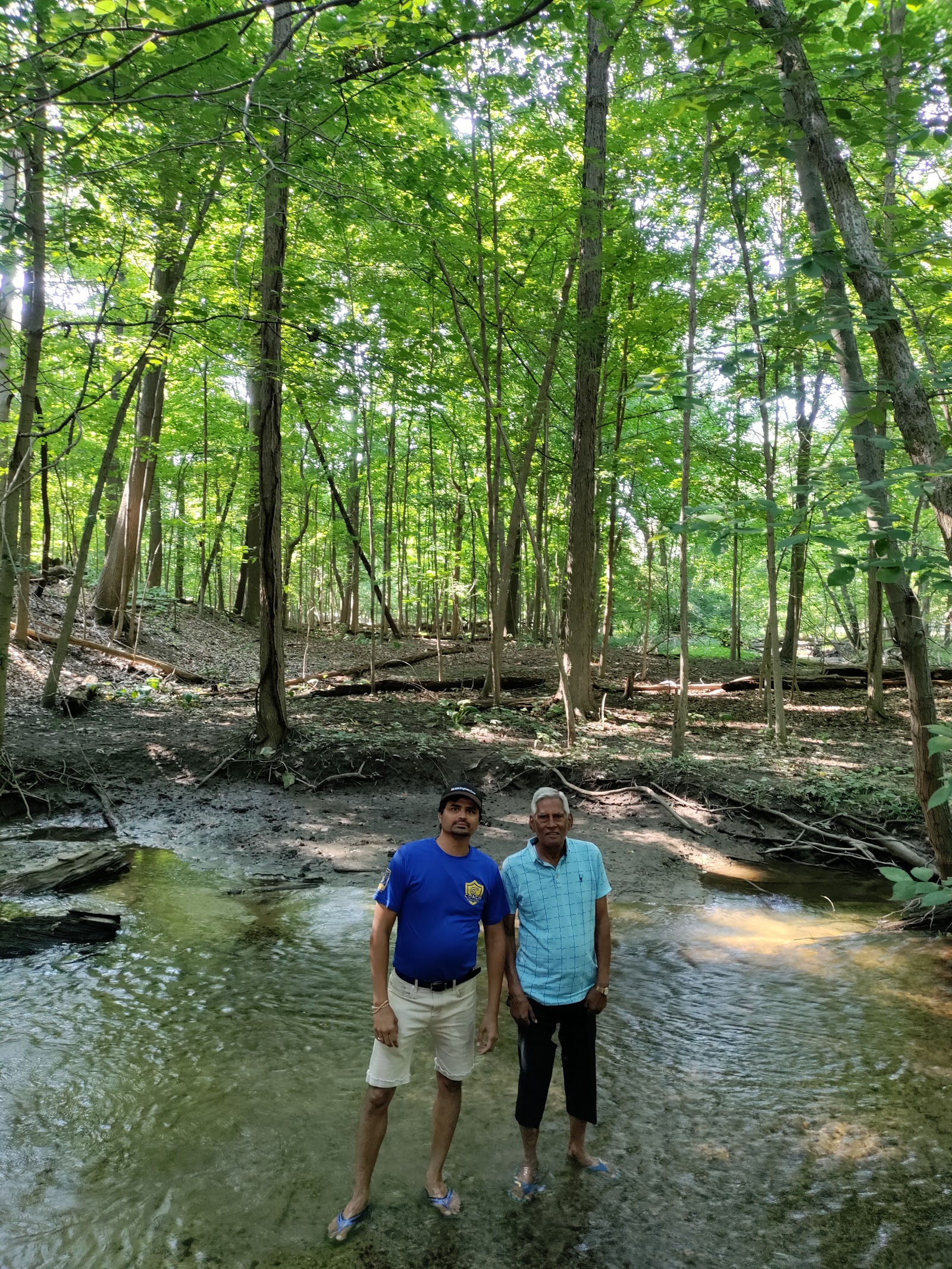 Orchard Hills West Park in Novi