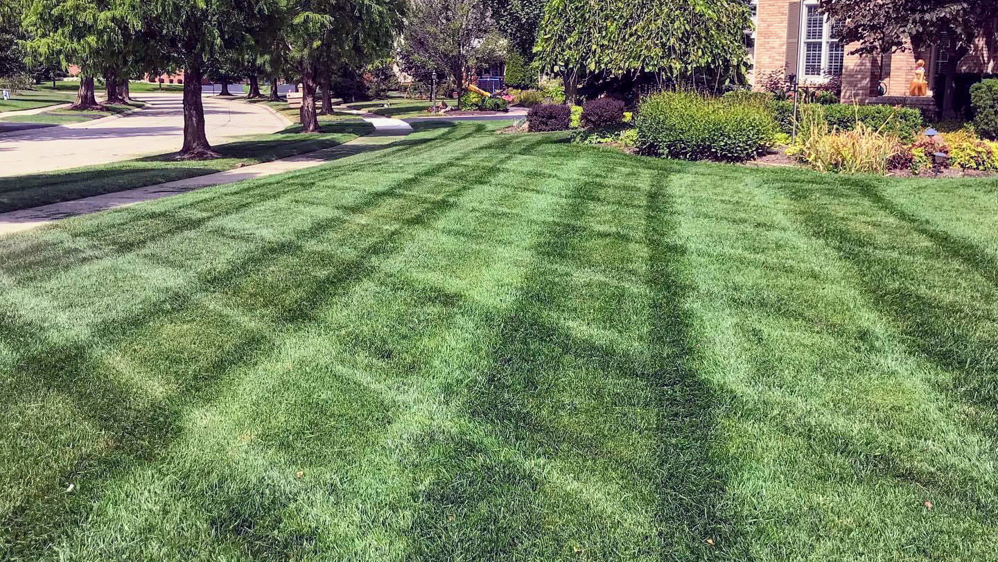 Priority One Lawn Care — photo