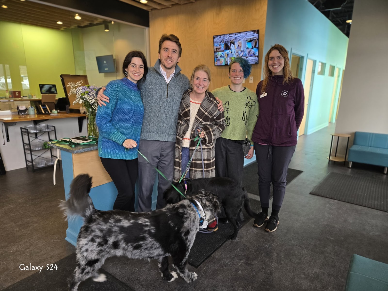 Shelter Bay Animal Hospital — photo